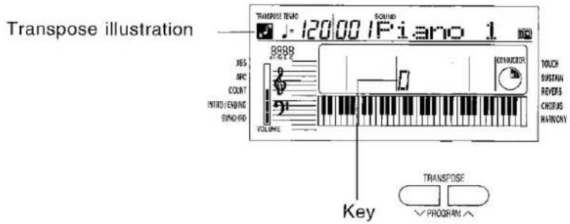 PANASONIC SX-KC600 - Transpose - 2