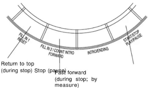 FILL IN1 RESET FILL IN 2/COUNT INTRO FORWARD INTRO/ENDING START/STOP PLAY/PAUSE Return to top (during stop) Stop (pause) Past forward (during stop; by measure)