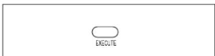 EXECUTE