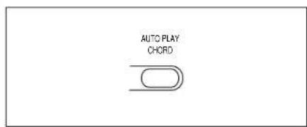 AUTO PLAY CHORD