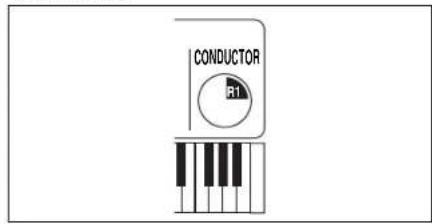 CONDUCTOR R1