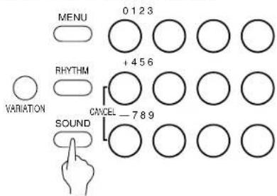 MENU 0123 +456 RHYTHM VARIATION CNCSEL -789 SOUND