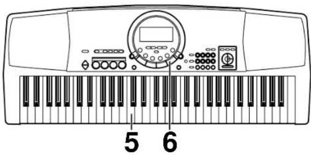 5 6