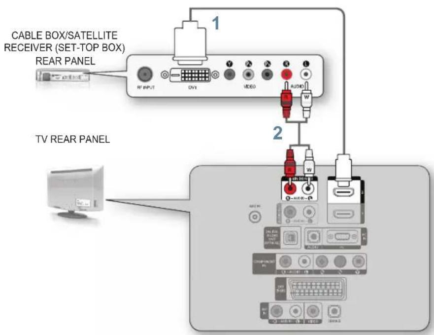 CABLE BOX/SATELLITE RECEIVER (SET-TOP BOX) REAR PANEL RF INPUT DVI VIDEO AUDIO TV REAR PANEL