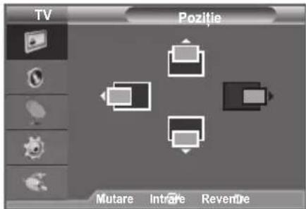TV Positie Mutare Intrate Revente