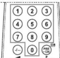 1 2 3 4 5 6 7 8 9 -/- 0 PRE -CH P