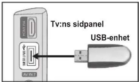 SAMSUNG LE37A656A1C - Använda funktionen WISELINK - 1