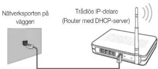 Nätverksporten på väggen Trådlös IP-delare (Router med DHCP-server)