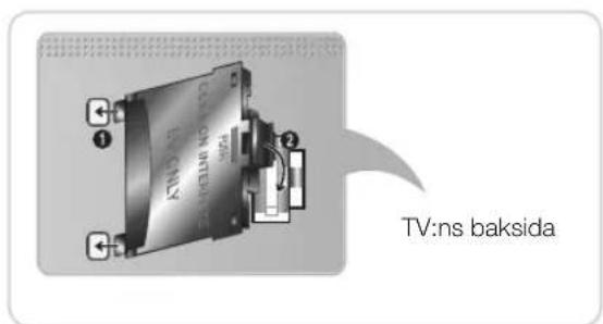 TV:ns baksida