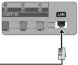 ORIENT IN LAN