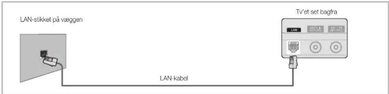LAN-stikket på væggen LAN-kabel Tv'et set bagfra