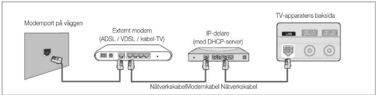 SAMSUNG UE40C6905VS - Anslutning till ett nätverk via kabel - 2