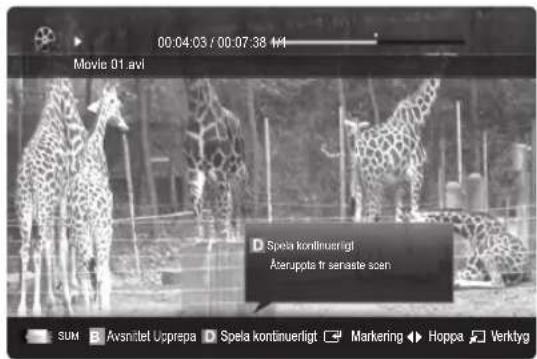 00:04:03 / 00:07:38 141 Movie 01.avi Splea kontinuerigt Äteruppta fr seraste scen SUM Avsnitel Usprepa Spela kontinuerigt Marketing Hoppa Verktyg