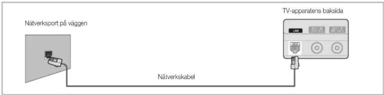 Nätverksport på väggen Nätverkskabel TV-apparatens baksida