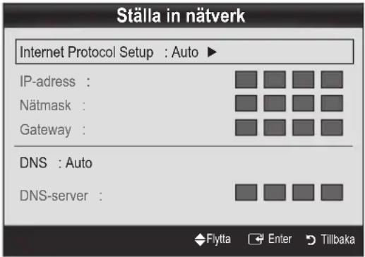 Ställa in nätverk Internet Protocol Setup : Auto ► IP-adress : Nätmask : Gateway : DNS : Auto DNS-server :