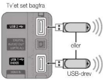 Tv'et set bagfra USB 2 EDITAL AUDIO OUT SUPPLCALS USB 1 +/- HDD HDMI B eller USB-drev