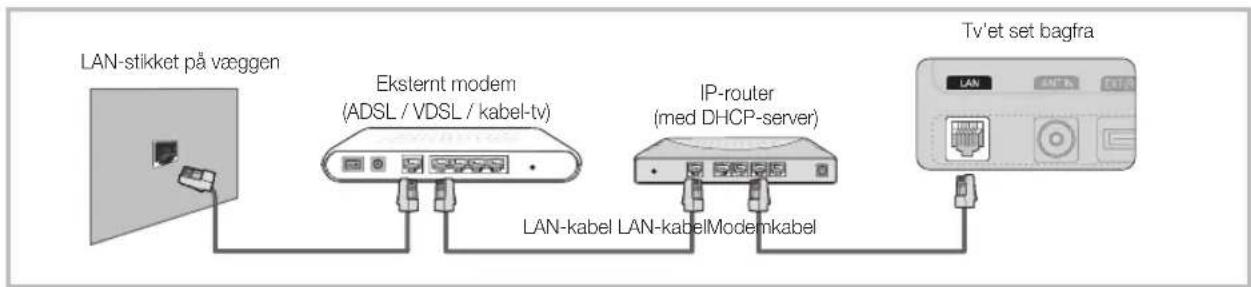 SAMSUNG UE40C5105QW - Tilslutning til et kablet netværk - 2