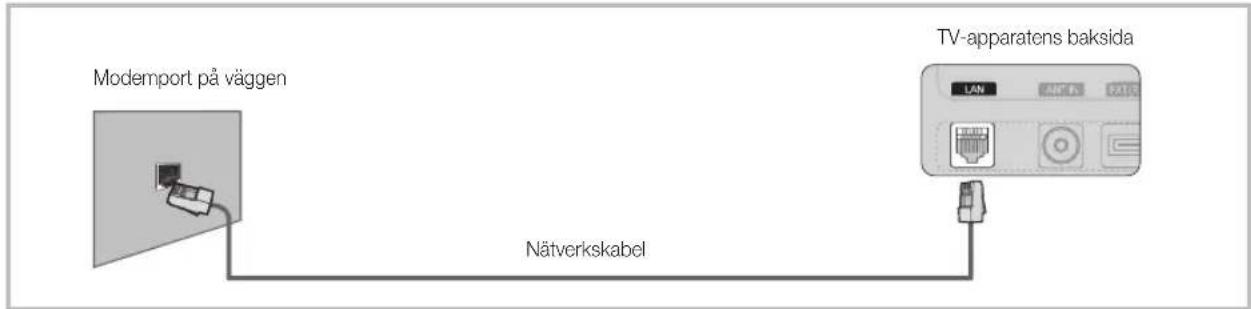 Modemport på väggen Nätverkskabel TV-apparatens baksida
