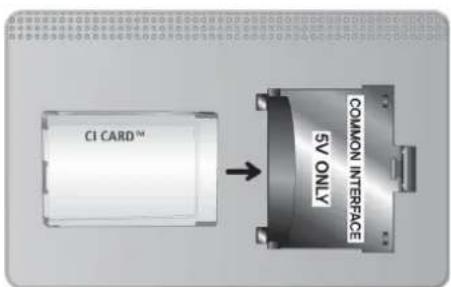 CI CARD™ COMMON INTERFACE SV ONLY