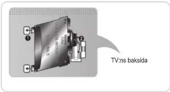 TV:ns baksida