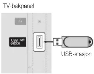 TV-bakpanel USB (HDD) USB-stasjon