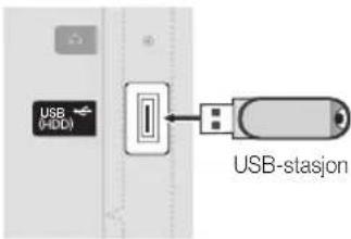 USB (HDD) USB-stasjon