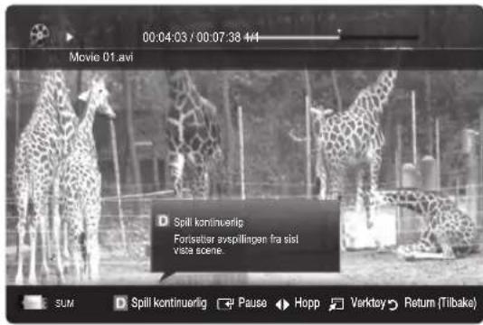 00:04:03 / 00:07:38 4/4 Movie 01.avi D Spill kontinuerig Fortseter avspillingen fra sist vista scene. SUM D Spill kontinuerig ▼ Pause ▶ Hopp □ Varktoy ▶ Return (Tilbake)
