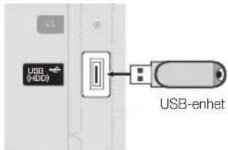 SAMSUNG UE22C4015PW - Ansluta en USB-enhet - 1