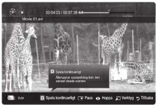 00:04:03 / 00:07:38 4/1 Movie 01.avi D Speia kontinuerigt Ätenupper upspelling från den senaat visade sochen. SUM D Speia kontinuerligt Paus Hoppa Verkyg Tillbaka