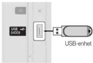 SAMSUNG UE22C4005PW - Programuppgradering - 2