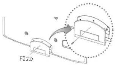 Fäste