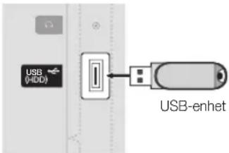 SAMSUNG UE22C4005PW - Ansluta en USB-enhet - 1