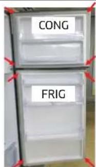 CONG FRIG