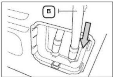 B