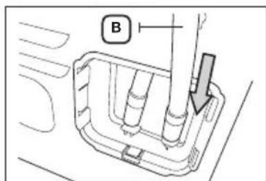 B