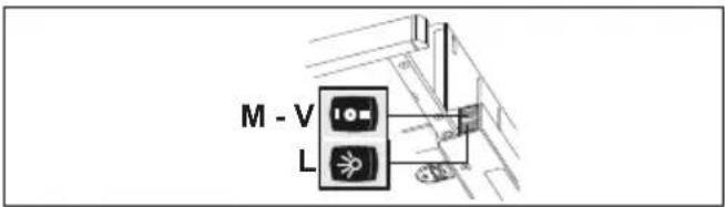 M - V L