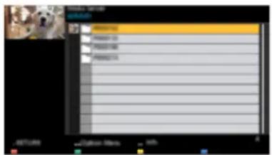 PANASONIC TX-49EX600E - Intern streaming - 1