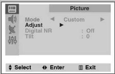 Picture Mode Adjust Digital NR Tilt Custom : Off : 0 Select Enter Exit