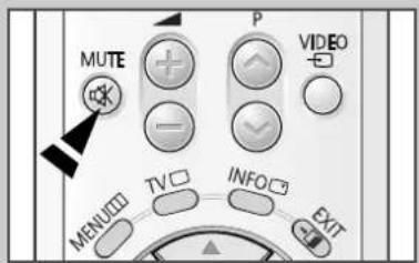 MUTE P VIDEO TV INFO EXIT