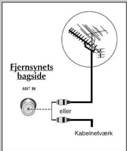 Fjernsynets bagside ANT IN eller Kabelnetværk