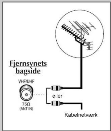 Fjernsynets bagside VHF/UHF 75Ω (ANT IN) eller Kabelnetværk