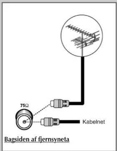 75Ω Kabelnet Bagsiden af fjernsyneta