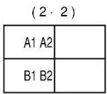 (2·2) A1 A2 B1 B2