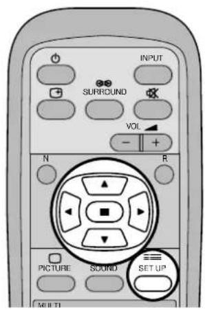 PANASONIC TH-42PW6EX - Sådan opsættes multi-skærmdisplay - 2