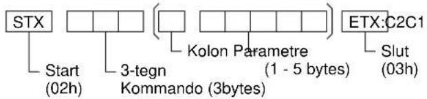 PANASONIC TH-42PW6EX - Basisformat for kontroldata - 1