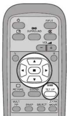 INPUT SURROUND VOL X H PICTURE SOUND SET UP MULT 3P SNAP SELECT ZOOM MOVE