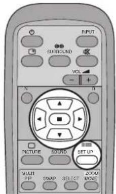 INPUT SURROUND VOL - + X R PICTURE SOUND SET UP MULTI PIP SWAP SELECT MOVE
