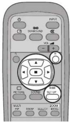INPUT SURROUND VCL + X H PICTURE SOUND SET UP MULTI PMP SWAP SELECT MOVE ZOOM