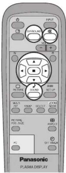 INPUT SURROUND VCC N R PICTURE SOUND SET UP MULTI SNAP SELECT ZOOM MOVE PICTURE POS. SIZE ASPECT PC OFF-TIME Panasonic - PLASMA DISPLAY