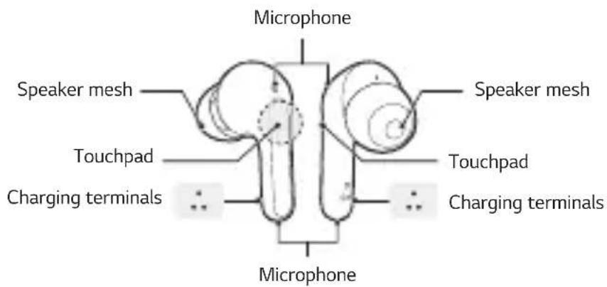 Microphone Speaker mesh Speaker mesh Touchpad Touchpad Charging terminals Charging terminals Microphone